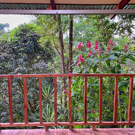 Princesa De La Luna Ecolodge La Fortuna Exterior photo