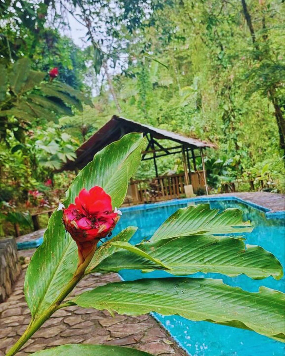 Princesa De La Luna Ecolodge La Fortuna Exterior photo